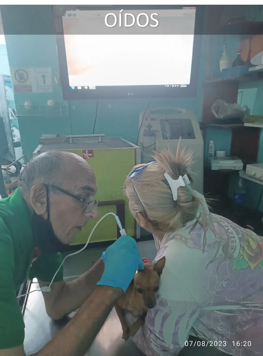 Endoscopios / Camara térmica